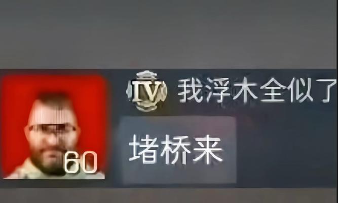 堵桥攻略（教你如何利用堵桥技巧在战场上取得胜利）  第3张