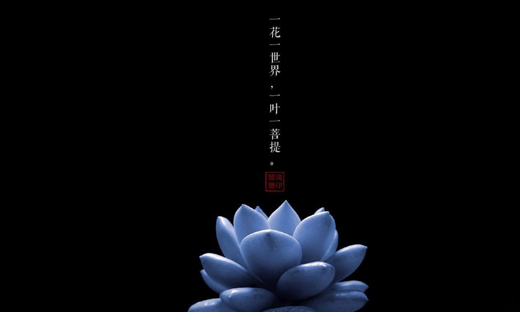 寻仙幻境心莲的获取方式有哪些?心莲刷取的技巧是什么? 第3张 寻仙幻境心莲的获取方式有哪些?心莲刷取的技巧是什么? 第3张