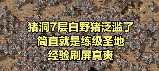 热血传奇手机版白野猪路线是什么？  第3张